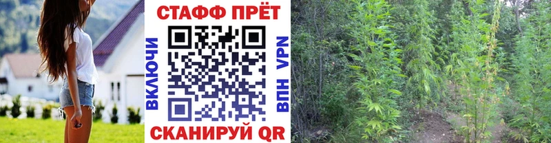 Купить наркотики сайты Звенигород Кокаин  Каннабис  Меф мяу мяу  Псилоцибиновые грибы  ГАШ 
