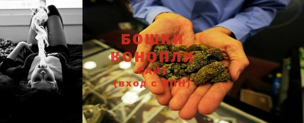 ПСИЛОЦИБИНОВЫЕ ГРИБЫ Алзамай