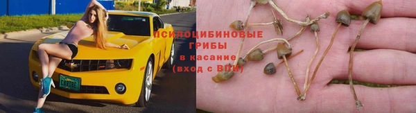 бошки Абдулино