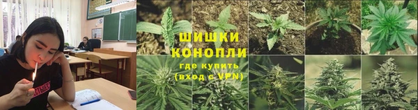 ПСИЛОЦИБИНОВЫЕ ГРИБЫ Алзамай