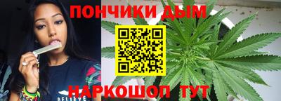 спайс Гатчина