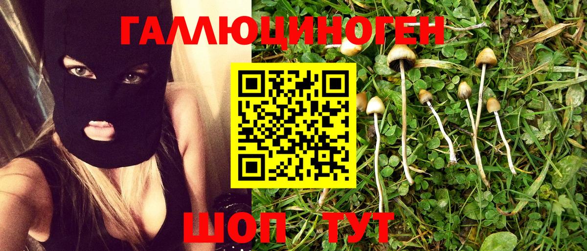 Галлюциногенные грибы MAGIC MUSHROOMS  купить наркотики цена  Вход с VPN  Звенигород  Галлюциногенные грибы Cubensis 